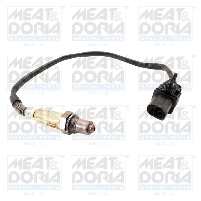 Oxygen Sensor
